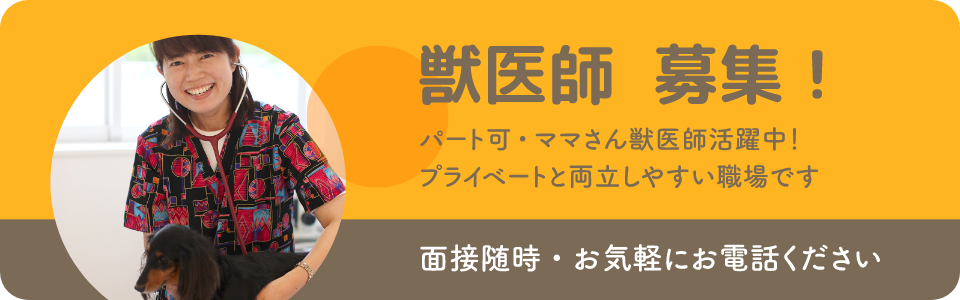 獣医師募集中