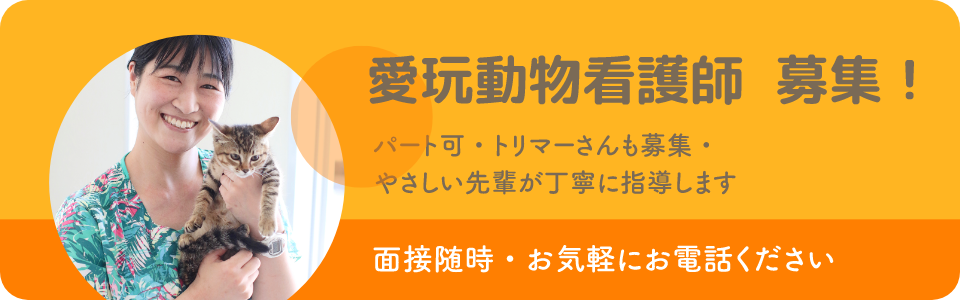 愛玩動物看護師募集中