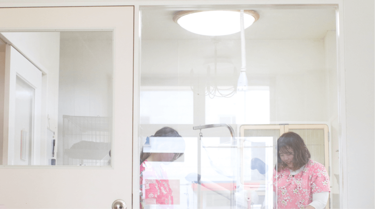 トリミング室