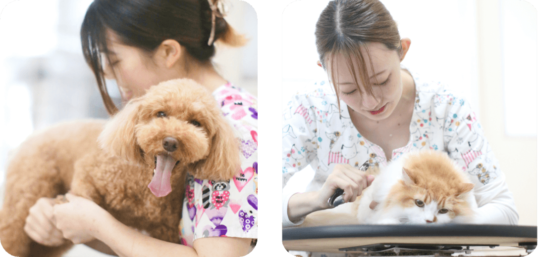 健康チェック写真