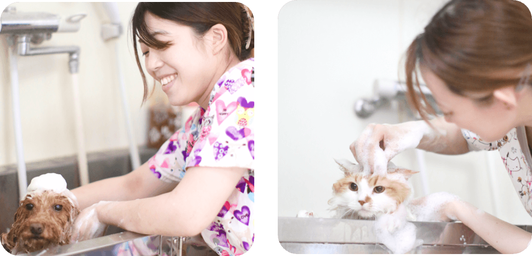 無添加シャンプー写真